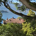 Villa Cedro *