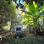 Cedro * Verbania